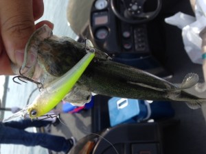 o0640048013648584517