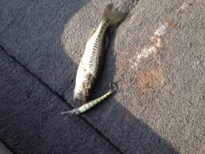 o0640048013648584518