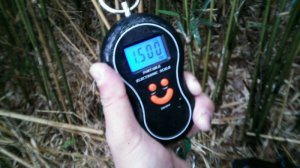 o0800045013638903263