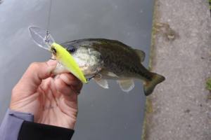 o0800053513643351837