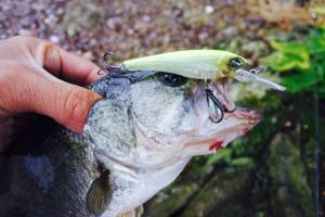 o0800053513643351856