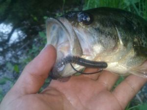 o0800060013640765813