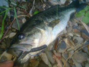 o0800060013640765814