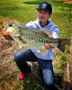 o0800100013633659259