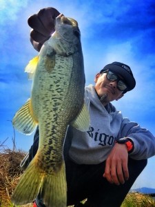 o0800106713633659260