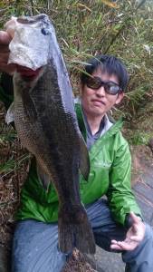 o0800142313638903262