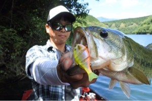 o0480032113659689294