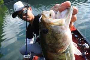 o0480032113659689371