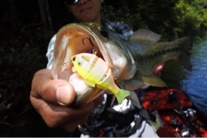 o0480032113659689444