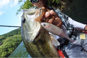 o0480032113659689475