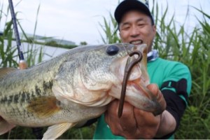 o0480032113665992184