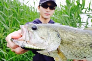 o0480032113679892120