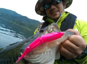 o0480035613665043204