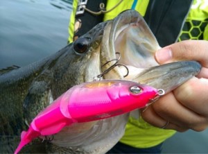 o0480035613665043210