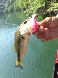 o0480064013659689411