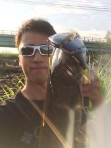 o0480064013670850154