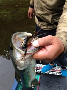 o0480064013679339474