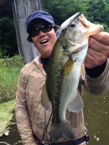 o0480064013679339486