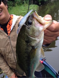 o0480064113679892103