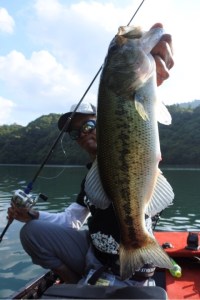 o0480072013659689355