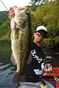 o0480072013659689392