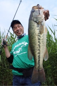 o0480072013665992176