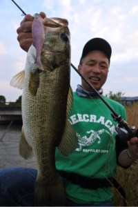 o0480072013665992209