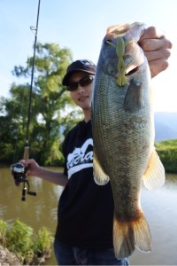 o0480072013672724031