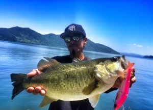 o0640046213664023513