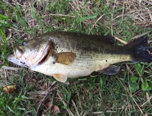 o0640049013673985981