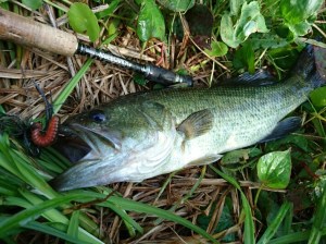 o0713053413674048872