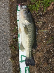 o0768102413660560769