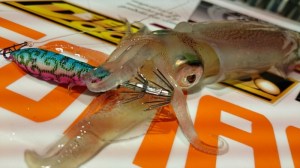 o0800045013677801379