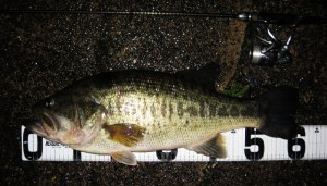 o0800045813674961018