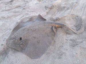 o0800060013660570040