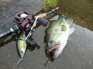 o0800060013662503718