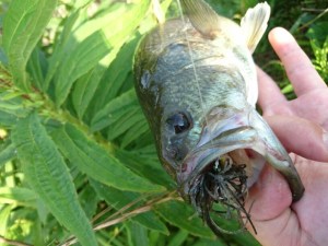 o0800060013674048871