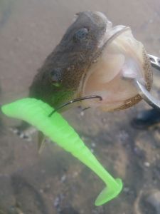 o0800106713660570039