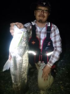 o0800106713672492316