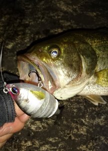 o0800111313673405490