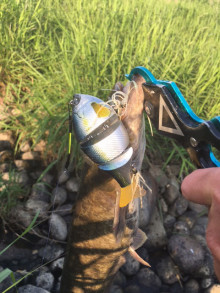 t02200293_0480064013670850155