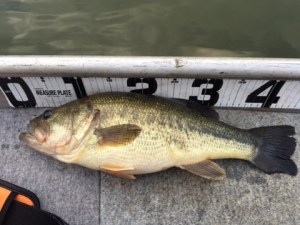 o0480036013691513232