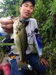 o0480064013685944654