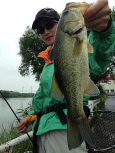 o0480064013696538981