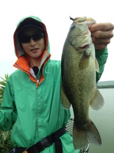 o0480064013696538991