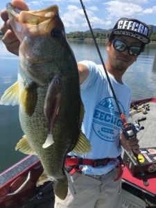 o0480064013703499018