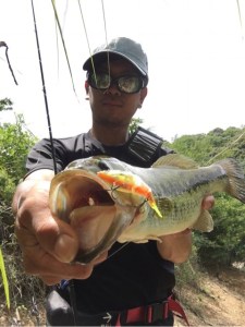 o0480064113691522381