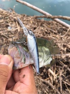 o0480064113691522387