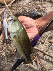 o0480064113691522397