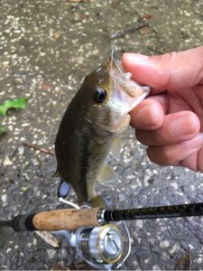 o0480064113691522417